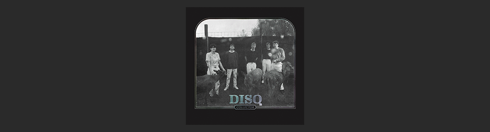 Disq - Collector - digital banner